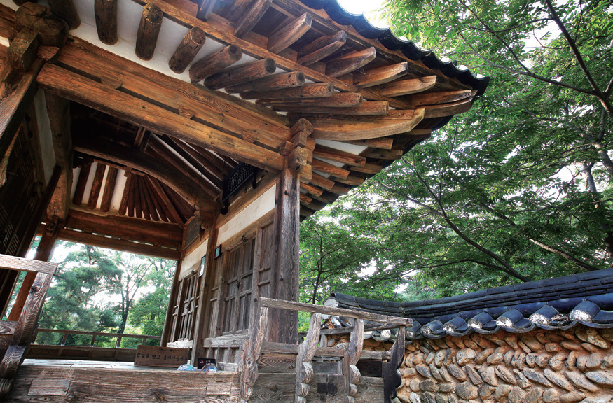 꼿꼿한 조선 선비, 솔숲 속 정자에 묻혀 쓰고 또 썼으니