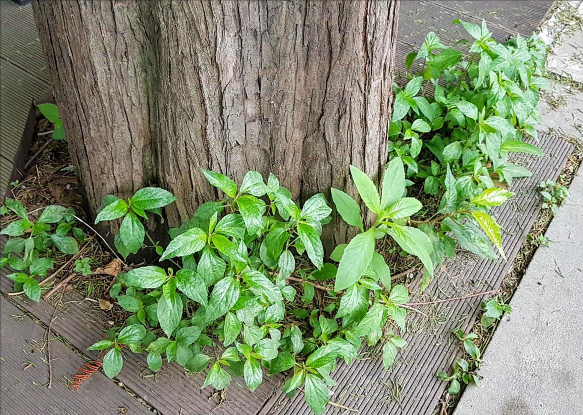 [내 삶의 쉼표 찍기 8] 우리의 겨울이 따뜻하면 좋겠습니다.