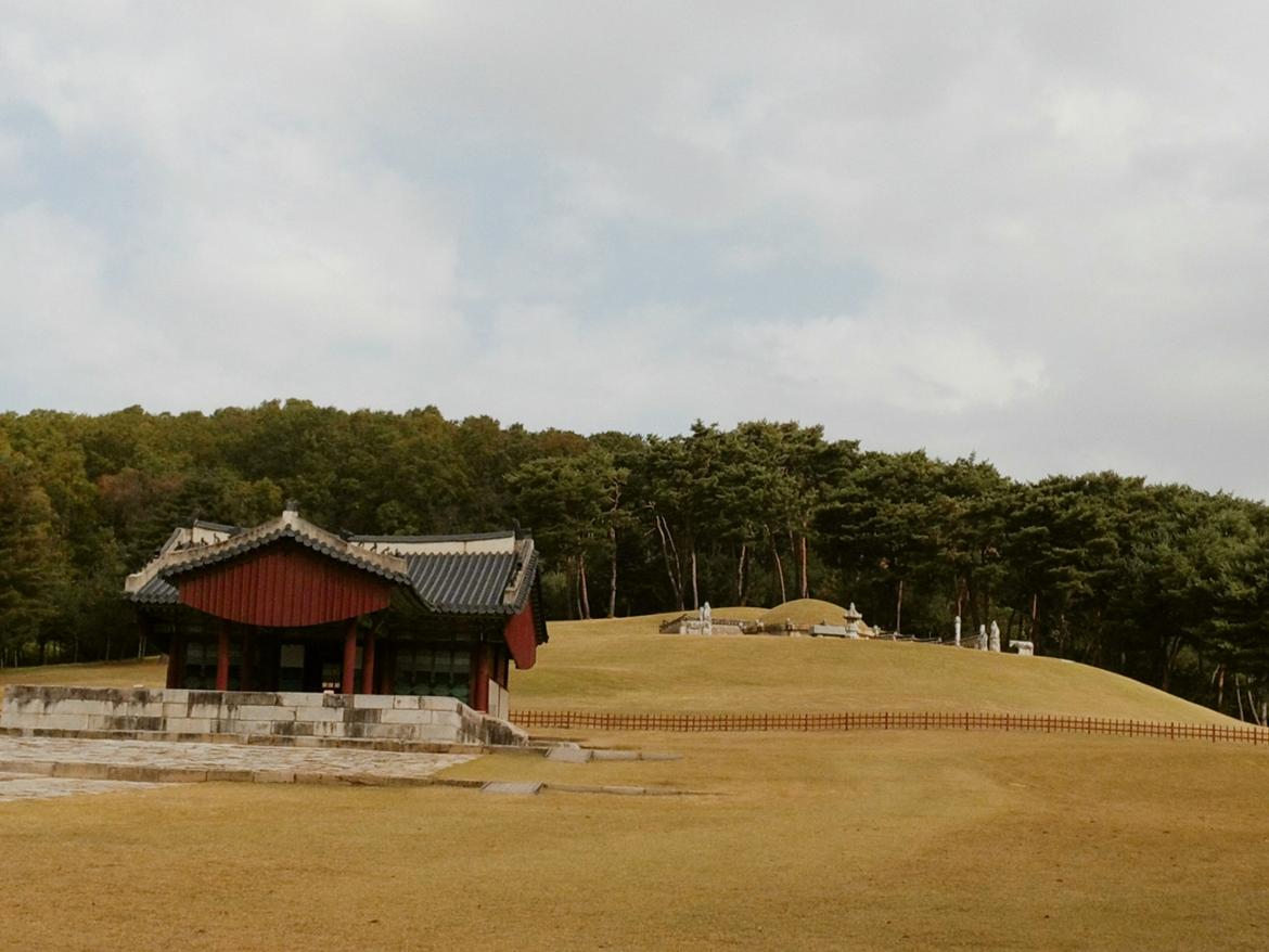 [세상구경 9] 조선 왕들의 영원한 삶의 공간, 왕릉(王陵) 2