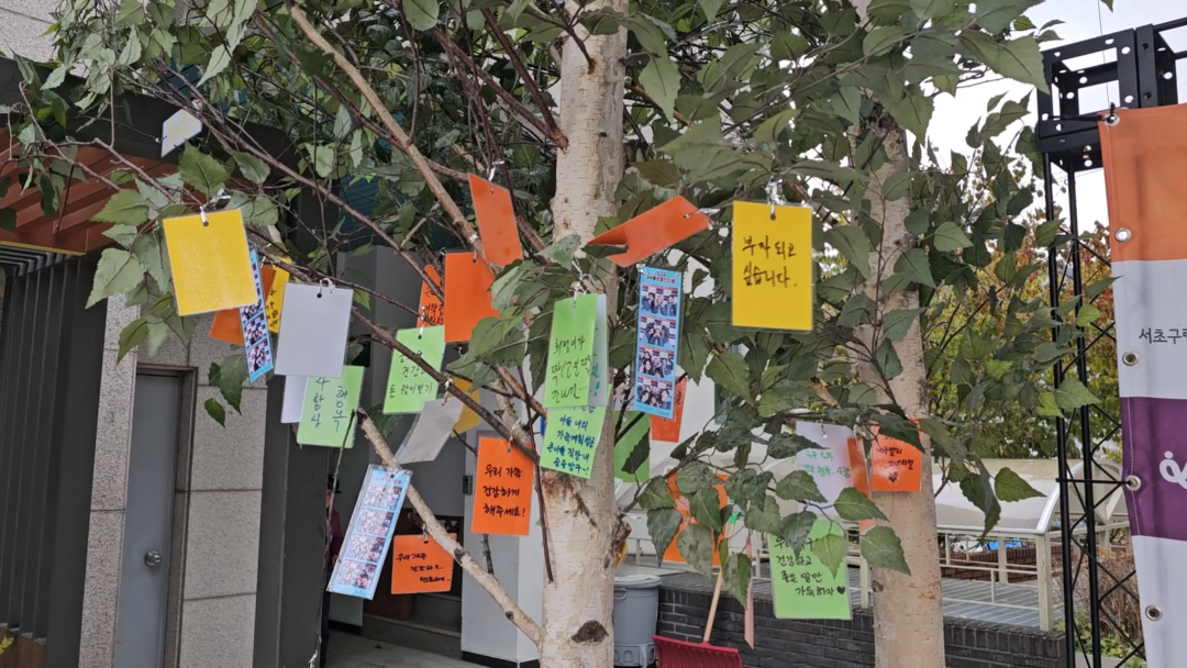 소원을 적은 종이가 걸린 나무 사진