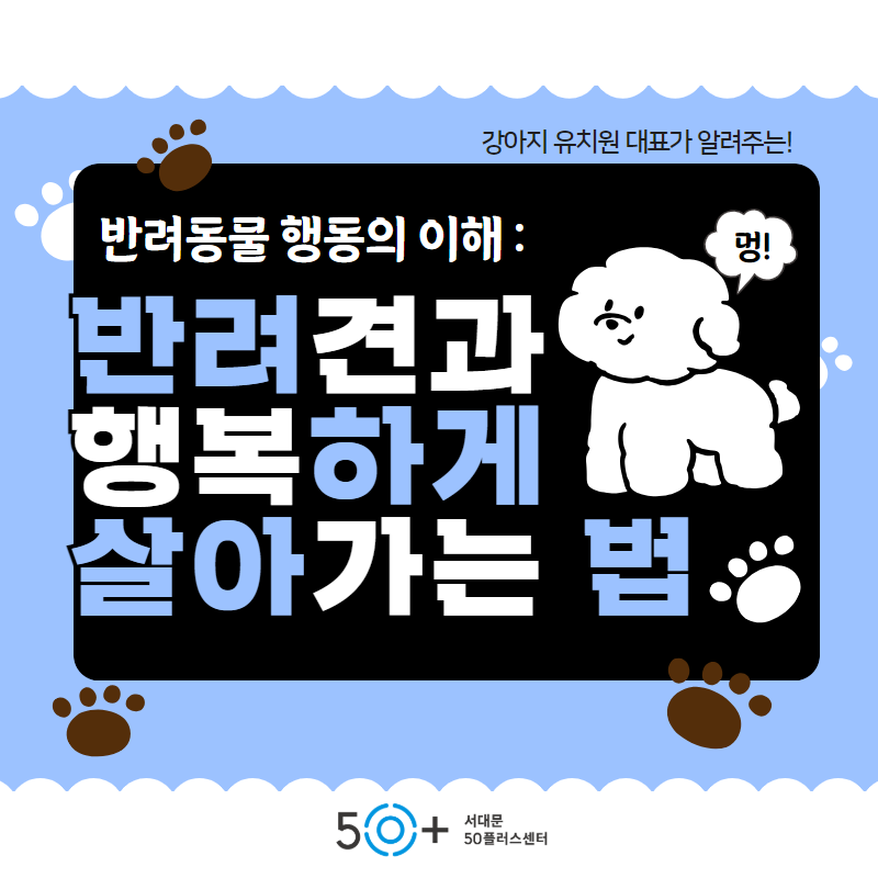 반려견+홍보+1.png