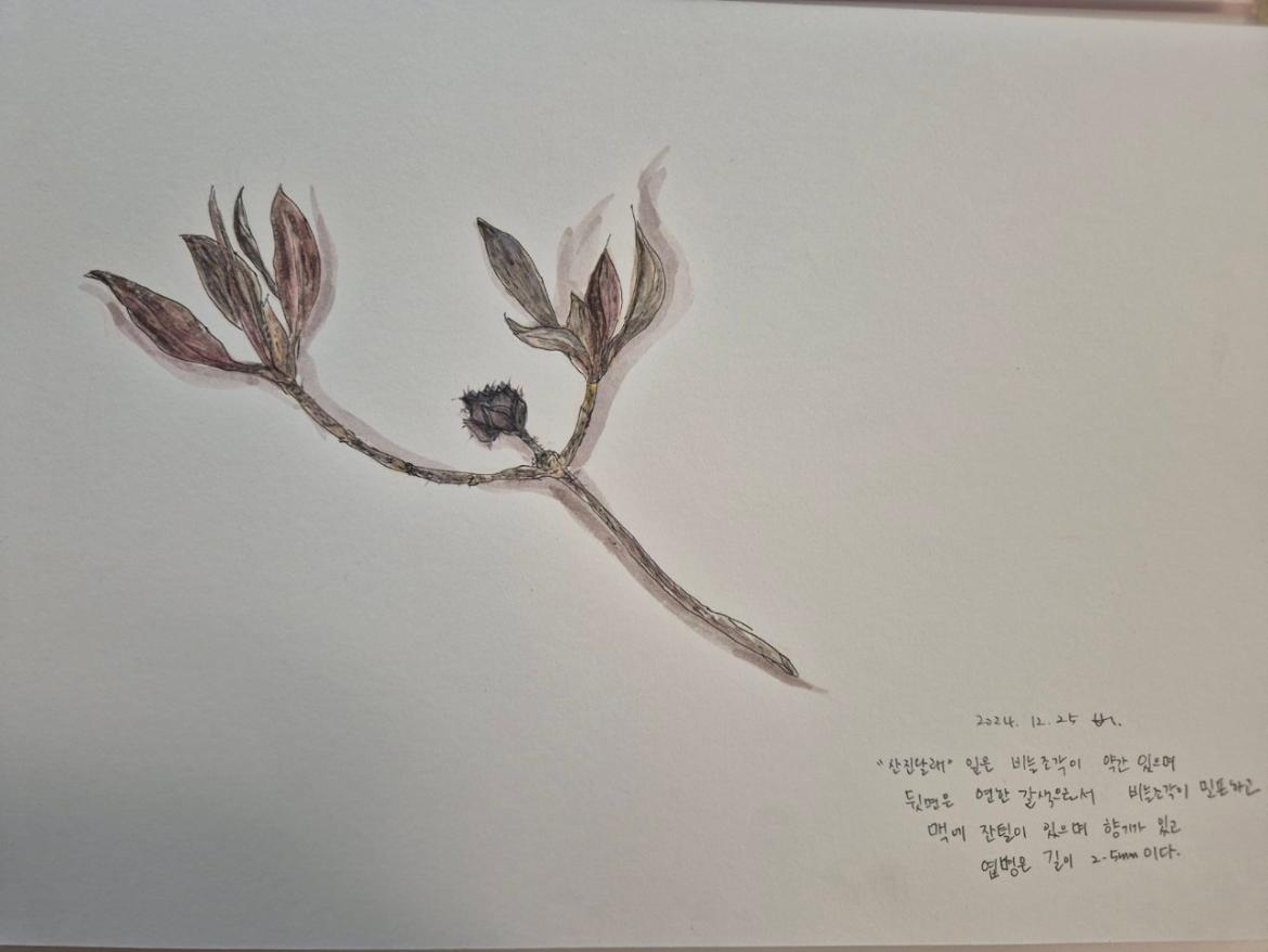 에코드로잉_사진_20241226_3.jpg